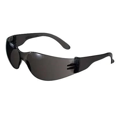 Radians 1664 AR3 Gray/Clear Eyewear